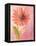 Lyrical Flower 1-Robbin Rawlings-Framed Stretched Canvas