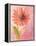 Lyrical Flower 1-Robbin Rawlings-Framed Stretched Canvas