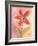 Lyrical Flower 2-Robbin Rawlings-Framed Art Print