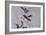 Lys-Katsushika Hokusai-Framed Giclee Print