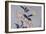 Lys-Katsushika Hokusai-Framed Giclee Print