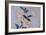 Lys-Katsushika Hokusai-Framed Giclee Print