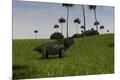 Premium Giclee Print