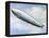 LZ 127 Graf Zeppelin-null-Framed Premier Image Canvas