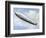 LZ 127 Graf Zeppelin-null-Framed Photographic Print