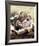 M*A*S*H (1972)-null-Framed Photo