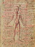 Anatomy of the Human Body, from 'Tractatus De Pestilencia'-M. Albik-Giclee Print