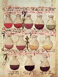 Series of Flagons for Urine Analysis, from "Tractatus De Pestilencia"-M. Albik-Giclee Print