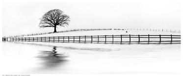 Winter Oak in a Field-M^ Barbone-Framed Art Print