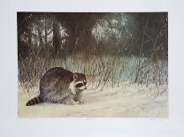 Snow Shadows-M^ Barker-Collectable Print