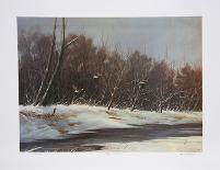 Snow Shadows-M^ Barker-Framed Collectable Print