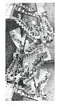 Three Worlds-M^ C^ Escher-Framed Art Print