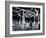 M.I.T. Students Training in Rockwell Gym Cage-Gjon Mili-Framed Photographic Print