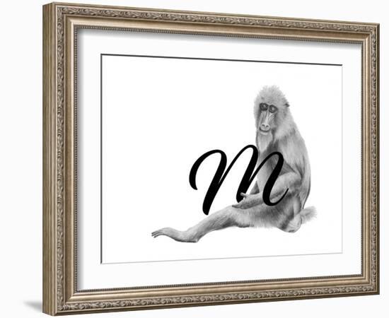 M is for Mandrill-Stacy Hsu-Framed Art Print