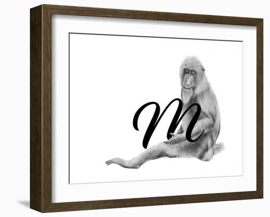 M is for Mandrill-Stacy Hsu-Framed Art Print