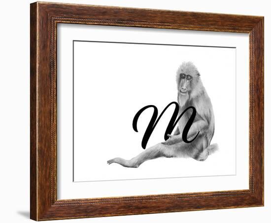 M is for Mandrill-Stacy Hsu-Framed Art Print