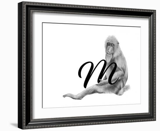 M is for Mandrill-Stacy Hsu-Framed Art Print