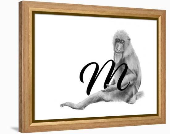 M is for Mandrill-Stacy Hsu-Framed Stretched Canvas