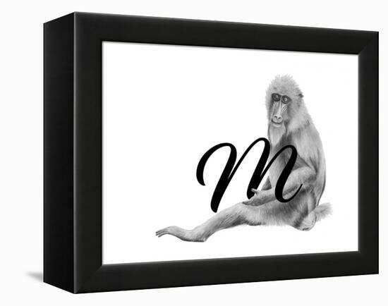 M is for Mandrill-Stacy Hsu-Framed Stretched Canvas