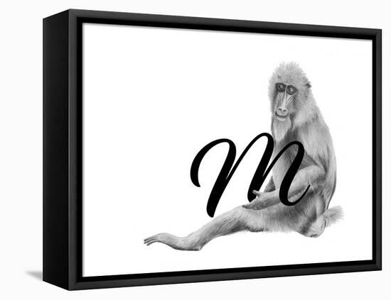 M is for Mandrill-Stacy Hsu-Framed Stretched Canvas