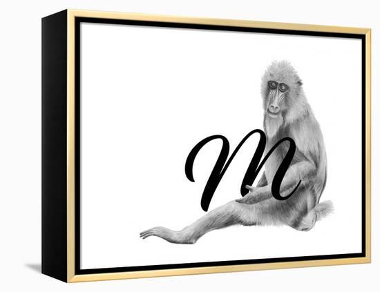 M is for Mandrill-Stacy Hsu-Framed Stretched Canvas