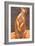 M is for Meerkat-Rita Kirkman-Framed Premium Giclee Print