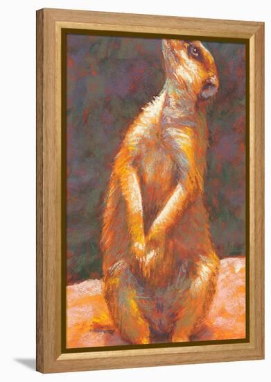 M is for Meerkat-Rita Kirkman-Framed Stretched Canvas