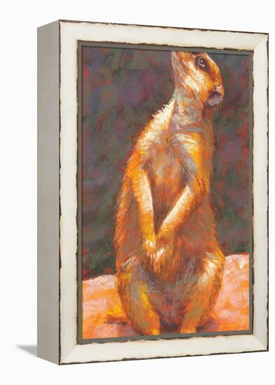 M is for Meerkat-Rita Kirkman-Framed Stretched Canvas