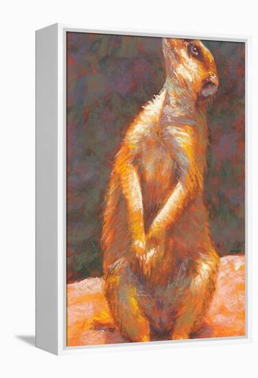 M is for Meerkat-Rita Kirkman-Framed Stretched Canvas