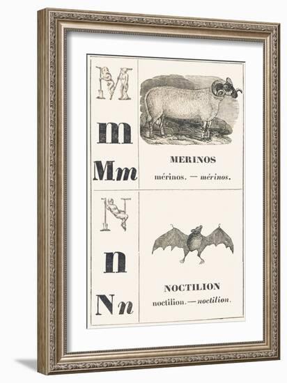 M N: Merinos — Noctilion, 1850 (Engraving)-Louis Simon (1810-1870) Lassalle-Framed Giclee Print