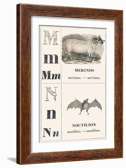 M N: Merinos — Noctilion, 1850 (Engraving)-Louis Simon (1810-1870) Lassalle-Framed Giclee Print