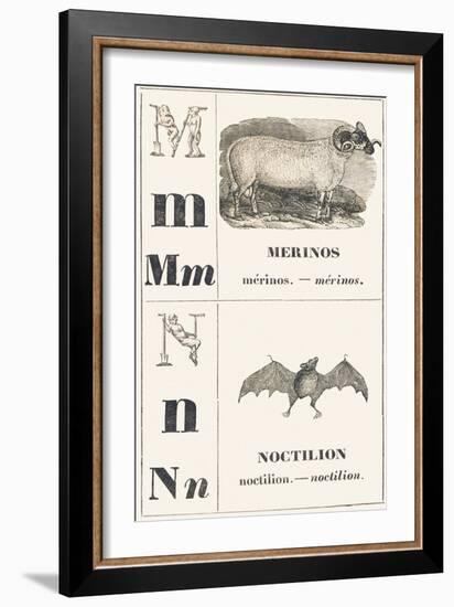 M N: Merinos — Noctilion, 1850 (Engraving)-Louis Simon (1810-1870) Lassalle-Framed Giclee Print