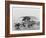 M. Nakashima Delivery Truck, Circa 1918-Marvin Boland-Framed Giclee Print