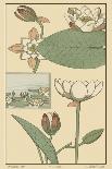 Water Lily II-M. P. Verneuil-Art Print