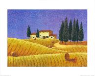 The Colours of Provence III-M^ Picard-Framed Art Print