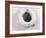 M.V. Chessie-null-Framed Photographic Print