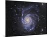 M101, the Pinwheel Galaxy in Ursa Major-Stocktrek Images-Mounted Photographic Print