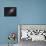M106, Spiral Galaxy in Canes Venatici-Stocktrek Images-Framed Premier Image Canvas displayed on a wall