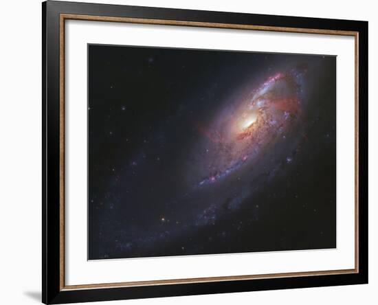 M106, Spiral Galaxy in Canes Venatici-Stocktrek Images-Framed Photographic Print