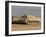 M113 Varient at Camp Warhorse-Stocktrek Images-Framed Photographic Print