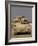 M2/M3 Bradley Fighting Vehicle-Stocktrek Images-Framed Photographic Print