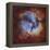 M20, the Trifid Nebula in Sagittarius-Stocktrek Images-Framed Premier Image Canvas