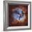 M20, the Trifid Nebula in Sagittarius-Stocktrek Images-Framed Photographic Print