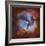 M20, the Trifid Nebula in Sagittarius-Stocktrek Images-Framed Photographic Print