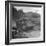 M4 Sherman Tank in Action During the Us Invasion of Saipan-Peter Stackpole-Framed Photographic Print