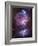 M42, the Orion Nebula (Top), and NGC 1977, a Reflection Nebula (Bottom)-Stocktrek Images-Framed Photographic Print