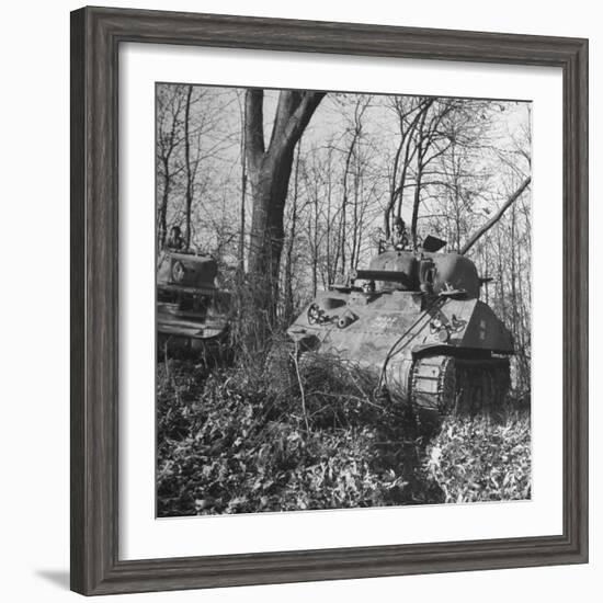 M4A2 Tanks Tested at Alberdeen Proving Ground-Bernard Hoffman-Framed Photographic Print