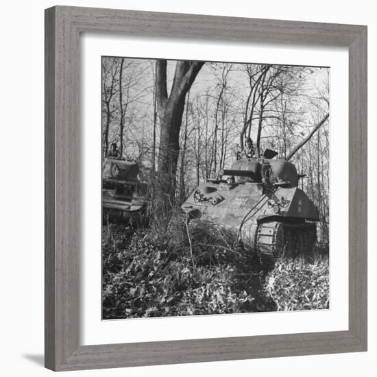 M4A2 Tanks Tested at Alberdeen Proving Ground-Bernard Hoffman-Framed Photographic Print