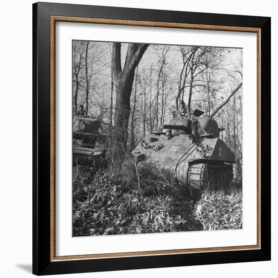M4A2 Tanks Tested at Alberdeen Proving Ground-Bernard Hoffman-Framed Photographic Print
