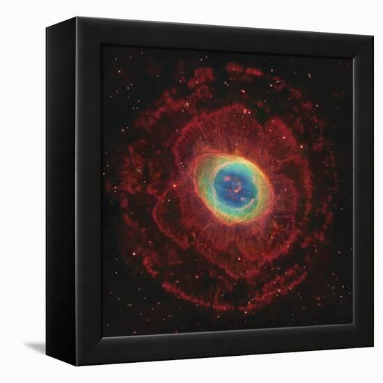 M57, the Ring Nebula-null-Framed Premier Image Canvas